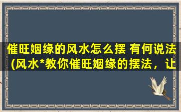 催旺姻缘的风水怎么摆 有何说法(风水*教你催旺姻缘的摆法，让爱情如鱼得水！)